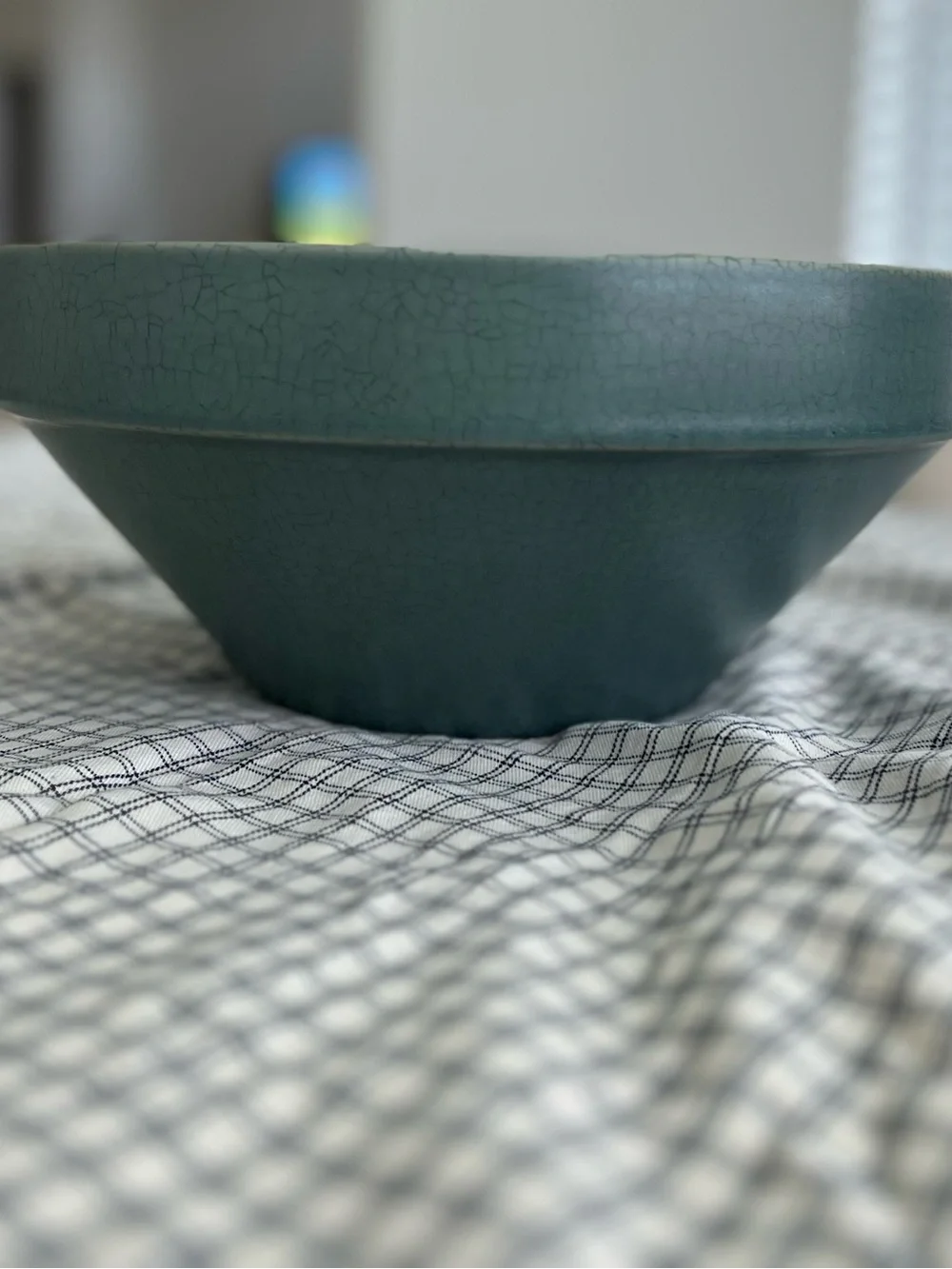 Studio McGee Green Wide Brim Bowl